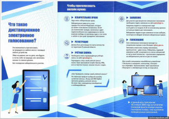 Что такое дистанционное электронное голосование?