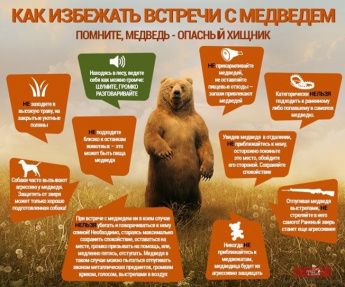 КАК ИЗБЕЖАТЬ ВСТРЕЧИ С МЕДВЕДЕМ?